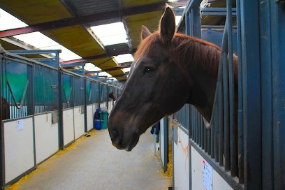 HARAS DE LA CANTERAINE, Centre Equestres à Haubourdin