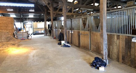 Ecurie Vandenbrocke, Centre Equestres à Norrent-Fontes
