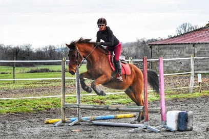 écuries Du Grand Tournan, Centre Equestres à Tournan
