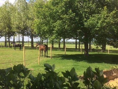 Ecurie Saint Melaine, Pension pour Chevaux à Andouillé-Neuville