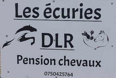 Écuries Dlr Pension Pour Chevaux à Soubise