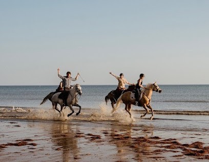 Equestrian Farm Du Cormeray, Centre Equestres à Daon