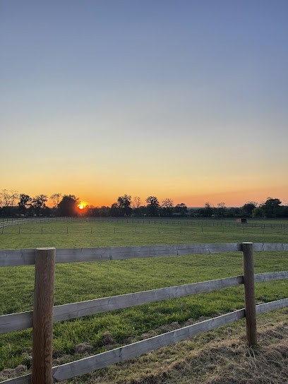 Field La Chapelle Saint Richer, Centre Equestres à Saint-Samson