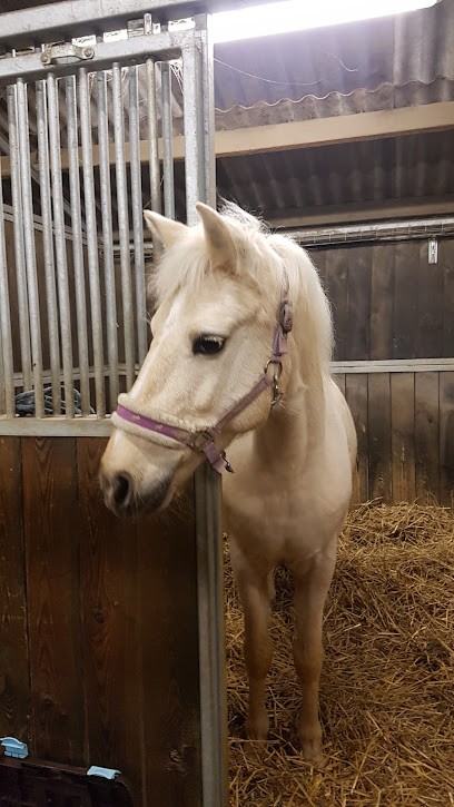 Ceruc, Centre Equestres à Reims