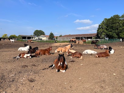 CENTRE EQUESTRE DU PLESSIS BOUCHARD, Centre Equestres au Plessis-Bouchard