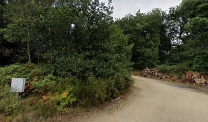 Cheval Émergence Lalande Hélène Equithérapie, Centre Equestres à Pleyber-Christ