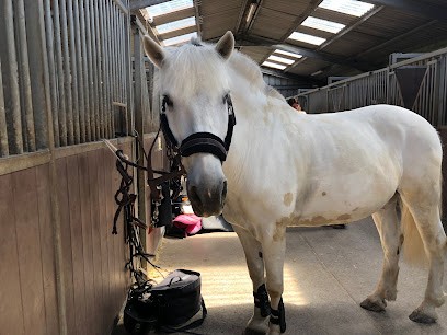 Les Ecuries Adèle, Centre Equestres à Sin-le-Noble