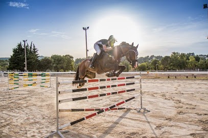 Pole Sports Équestres Dracénois, Centre Equestres à Draguignan