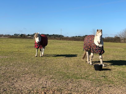 La Fontaine Aux Chevaux, Centre Equestres à Cissac-Médoc