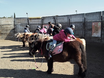 Poney Ranch De La Crau, Centre Equestres à La Crau