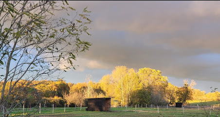 Les Écuries Du Domaine De La Harpe, Pension Pour Chevaux à Bossay-sur-Claise