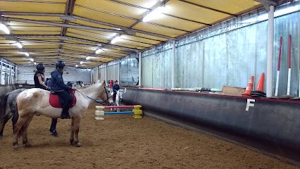 CENTRE EQUESTRE OUDINOT, Centre Equestres à Joinville-le-Pont