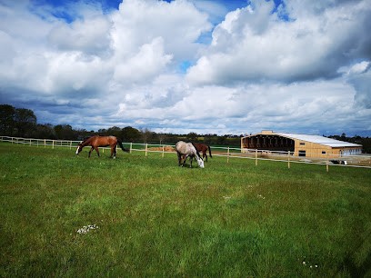 Ecurie De Baud, Centre Equestres à Mouzeil
