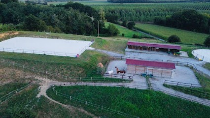 Domaine Lafibat, Pension pour Chevaux à Hastingues