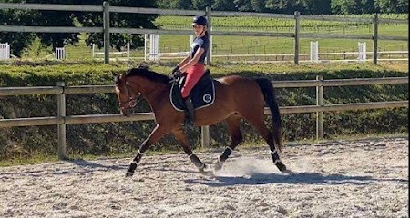 Écurie Les Luacas, Centre Equestres à La Sauve
