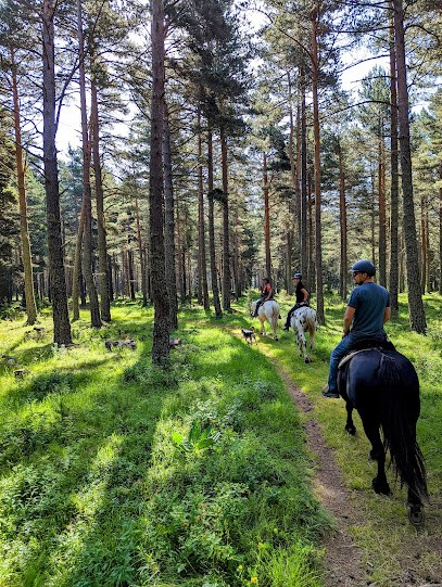 Equisud Randonnées, Centre Equestres aux Angles