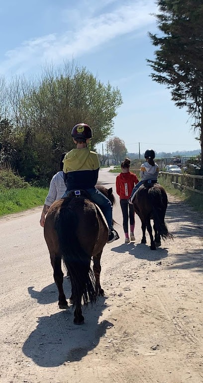 Equi'rando Du Houx, Centre Equestres à La Cambe