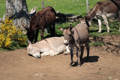 Chik'ânes, Centre Equestres à Saint-Front