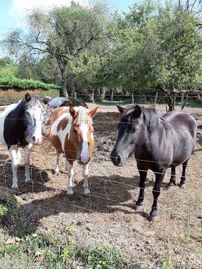 Les Poneys de Kathy, Centre Equestres à Épaney