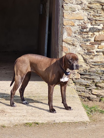 Haras D'Audoirie, Pension pour Chevaux à Parné-sur-Roc