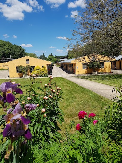 SARL LES ECURIES De MONTIGNY Sur LOING, Centre Equestres à Montigny-sur-Loing