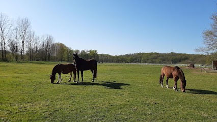 Pension de la Licorne, Pension pour Chevaux à Saint-Pantaléon-de-Larche