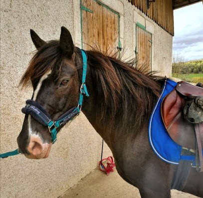 Equestrian Farm Le Rupt, Centre Equestres à Rupt-devant-Saint-Mihiel