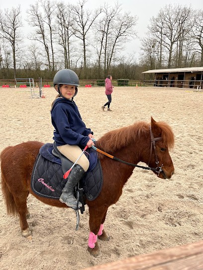 ECURIE DU RONDEAU, Centre Equestres à Rogny-les-Sept-Écluses