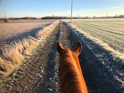 Écurie Laura Domaizon, Centre Equestres à Malintrat
