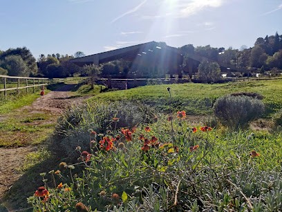 Heinola, Centre Equestres à Lachapelle-aux-Pots