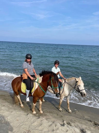 LES ECURIES DE SAN GIULIANO, Centre Equestres à San-Giuliano