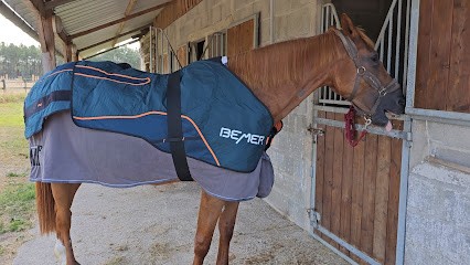 Haras D'Hippoteos : Ecuries De Haut-Standing & Balnéothérapie équine, Pension pour Chevaux aux Montils