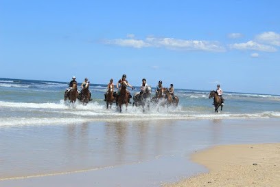 Haras De Saint Vivien, Centre Equestres à Saint-Vivien-de-Médoc