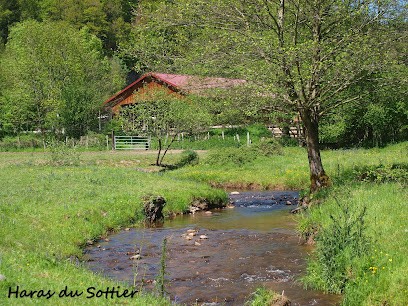 Stud Du Sottier, Centre Equestres à Poule-les-Écharmeaux