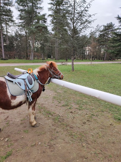 Ballades à Poney, Centre Equestres à Vénissieux