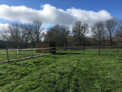 Haras de Grignols, Pension pour Chevaux à Grignols