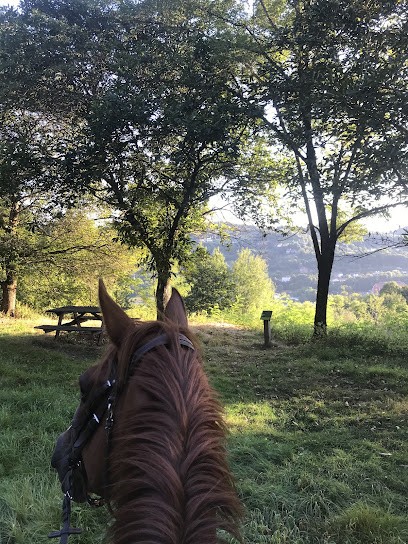 Les Écuries De La Vaysse, Centre Equestres à Cransac