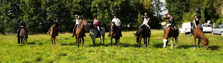 Ecuries Des Acacias, Centre Equestres à Marines
