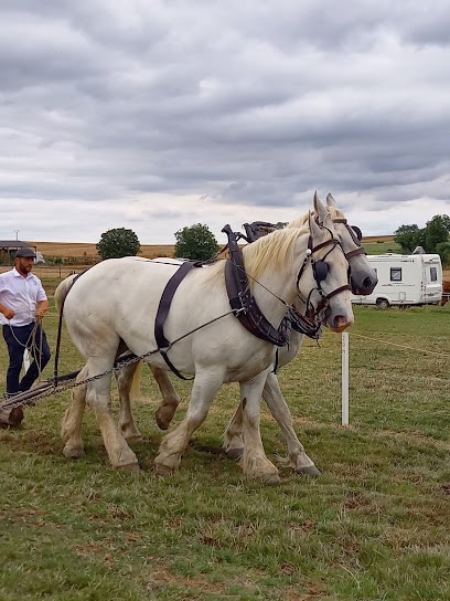 ÉCURIE DU BOIS DE MONT, Centre Equestres à Nourard-le-Franc