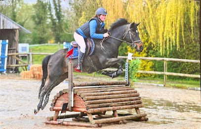 Ecurie Du Randillon, Pension pour Chevaux à Mauquenchy