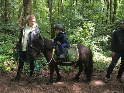Ecurie Rodolphe Védrines, Pension pour Chevaux à Bergesserin