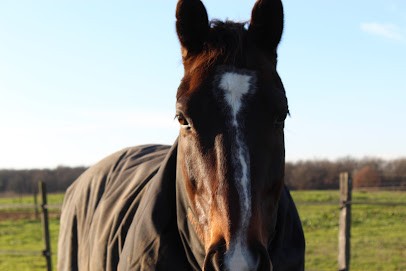 Etrier De Fontenilles, Centre Equestres à Fontenilles