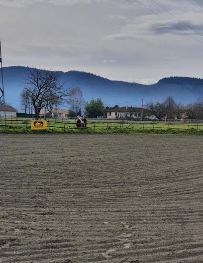 Stables Du Bazert, Centre Equestres à Pointis-de-Rivière
