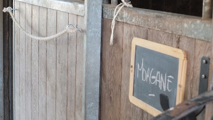 Poney Club de Landaul, Centre Equestres à Landaul