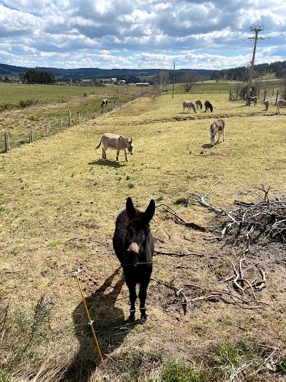 Les Ânes en Margeride, Centre Equestres à Saint-Alban-sur-Limagnole