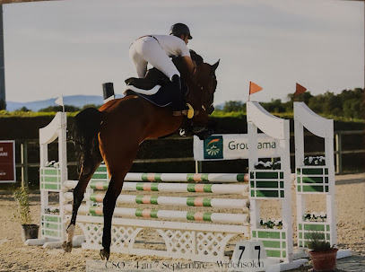 Nb Horse - Cours D'équitation Privé - Coaching - Valorisation - Cheval & Poney, Centre Équestre à Kingersheim