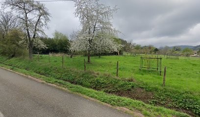 Rhinn Sylvie, Centre Equestres à Rosheim