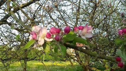 Centre équestre Tornado, Centre Equestres à Saint-Cyr-sur-Morin