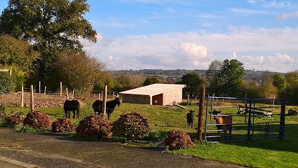 Ecurie de la Bergerie, Pension pour Chevaux à Biéville