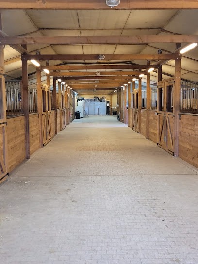 Ecurie de la Liberté, Pension pour Chevaux à Châteauneuf-sur-Isère